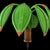 Mario Torres Vintage Pencil Reed and Wicker Coconut Palm Tree Wall Light Sconce Attributed to Mario Torres Lopez For Sale - Image 4 of 10