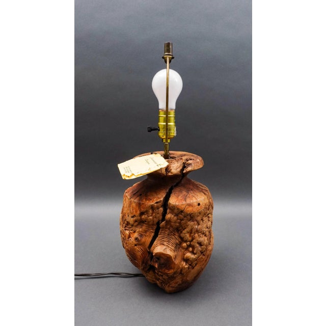 Vintage Mid 20th Century California Free Form Burl Root Wood Table Lamp For Sale - Image 4 of 10