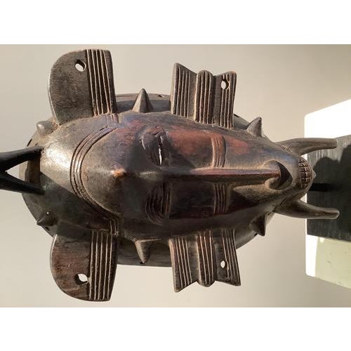 Mali Senoufo Mask in Wood For Sale - Image 8 of 11