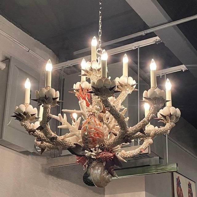 1990s Coastal Grand French Hand-Crafted Grotto Nautical Multi-Stem Coral Shell Chandelier For Sale - Image 10 of 16