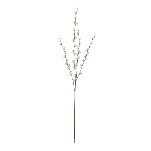 Bring the delicate beauty of spring into your home with this White Blossom Branch Set. Featuring graceful branches adorned...