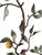 Green Vintage Large Italian Tole Espalier / Espaliered Orange Citrus Tree Wall Sconce / Candle Holder Sculpture For Sale - Image 8 of 8