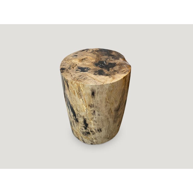 Andrianna Shamaris Impressive Tiger Toned High Quality Petrified Wood Side Table For Sale - Image 4 of 5