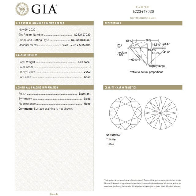 Gold Gia Certified 3.03 Carat Round Brilliant Cut Diamond Engagement Ring, Size 6.5 For Sale - Image 8 of 8