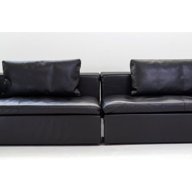 Animal Skin Moroso Springfield Sofa by Patricia Urquiola, 2000s, Set of 2 For Sale - Image 7 of 14