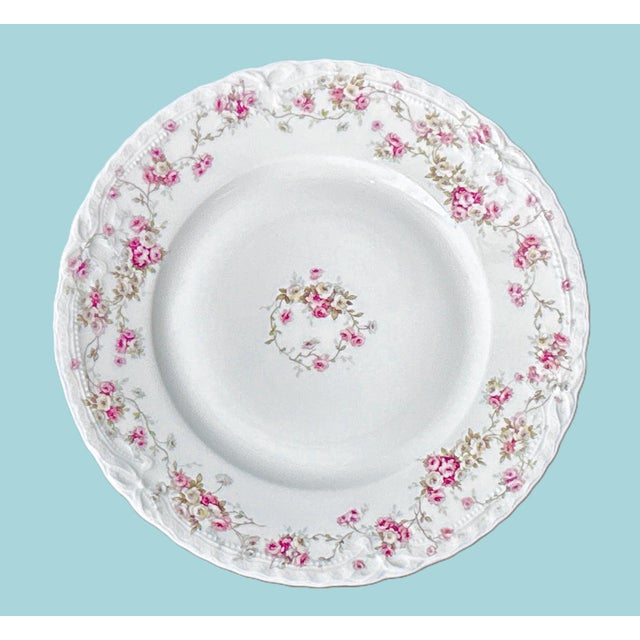 Early 20th Century Antique Haviland Limoges Plates (Schleiger 1246-5) For Sale - Image 5 of 10