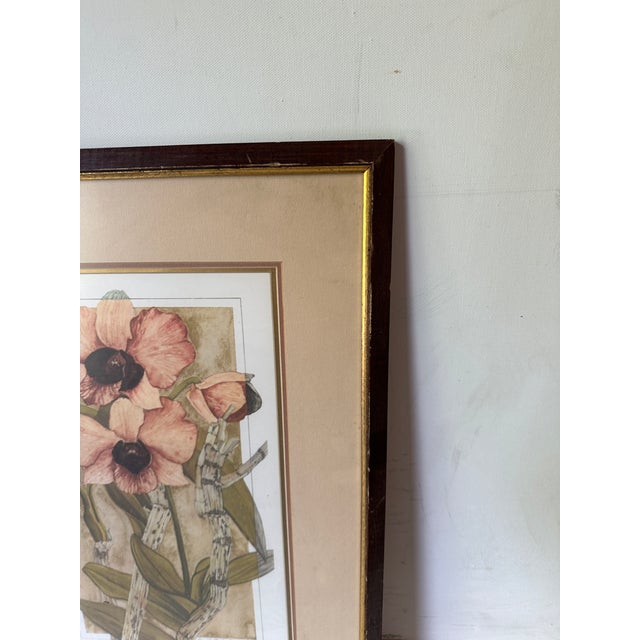 Contemporary 1970s Antique Framed Signed Print of Pink Flower For Sale - Image 3 of 12