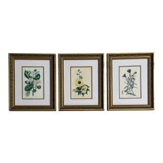 Traditional Wall Decor, Framed Floral Botanicals, Giltwood Frame, 19th C. For Sale