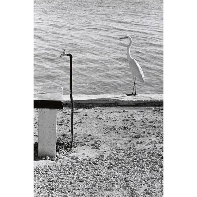 Contemporary Elliott Erwitt Florida Keys Poster For Sale - Image 3 of 3