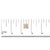 Early 21st Century 10K Yellow Gold Plated .925 Sterling Silver 1/4 Cttw Diamond Textured Halo Stud Earrings For Sale - Image 5 of 5