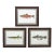 Set of 3 Original Antique Denton Framed Fish Prints C. 1900 For Sale