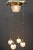 Art Deco Chandelier with Cut Glass Shades, Vienna, 1920s For Sale - Image 3 of 18