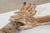 Forearms of a Dressed Saint, Early 20th Century, Pinewood, Set of 2 For Sale - Image 9 of 9