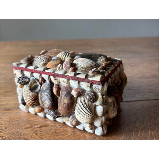 A small seaside reverie, captured in miniature. This vintage English trinket box is clad in collected shells — each one...