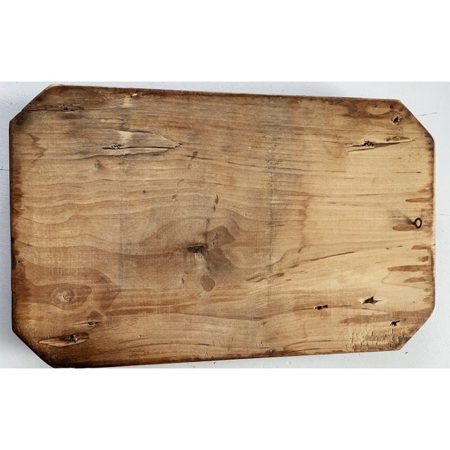 Art Nouveau Squirrel Wood Relief, 1800s For Sale - Image 10 of 12