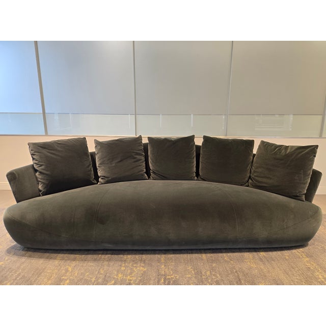 Gray Giorgetti Solemyidae Sofa For Sale - Image 8 of 9