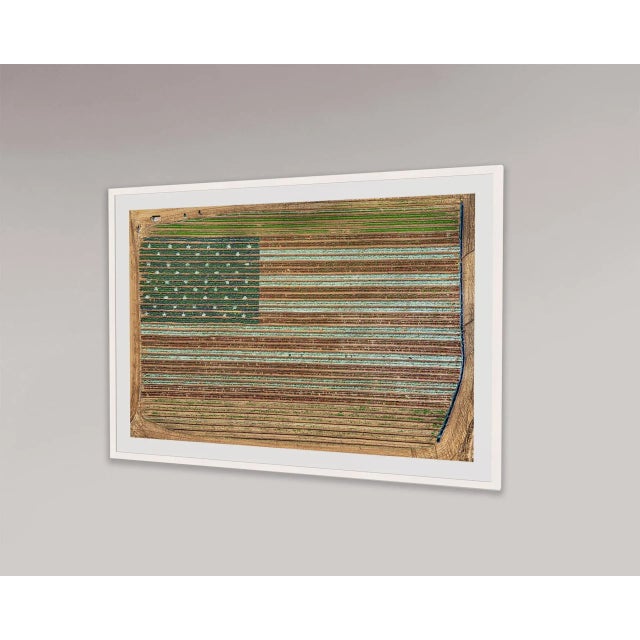 "AV_California_Plants_022" Contemporary Limited Edition Fine Art Photograph by Bernhard Lang For Sale - Image 4 of 8