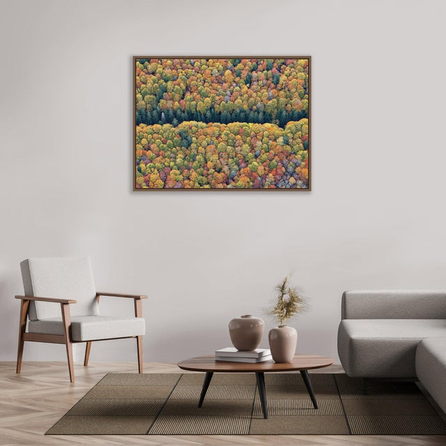 Edition Aerial Views Bernhard Lang Image: "Bavarian_Forest_016" Size A: 59,0 x 44,3 inch / 150 x 112,5 cm No 2 of 8 + 2...