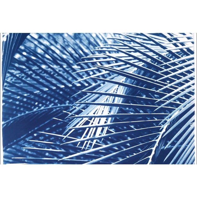 2020s 2021 "Majesty Palm Pattern" Handmade Cyanotype Print on Watercolor Paper For Sale - Image 5 of 7