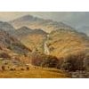 Sheep by Mountain River Waterfall in the Lake District of England - an Original Oil on Canvas by 20th Century Modern...