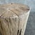 Mid-Century Modern Elm Wood Stump Side Table For Sale - Image 3 of 4