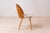 Mid-Century Dining Chairs attributed to A. Suman, 1960s, Set of 16 For Sale - Image 14 of 18