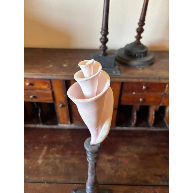 3 Baroque Mounted Seashell Specimens Displays on 19th Century Dark Wooden Stands For Sale - Image 9 of 11