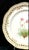 Royal Copenhagen Flora Danica Porcelain Plate, Armeria sibirica Turcz, with Pierced Gilt Border. Each plate in this...
