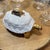1950s White and Gold Porcelain Tortoise Lidded Trinket Box For Sale - Image 4 of 4