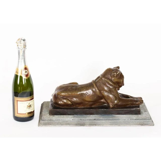 Louis Riche, Antique Sculpture of Lioness, Early 20th Century, Bronze For Sale - Image 10 of 12