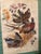 This is a charming vintage sporting-bird print after wildlife artist Arthur Singer, depicting a beautifully detailed...