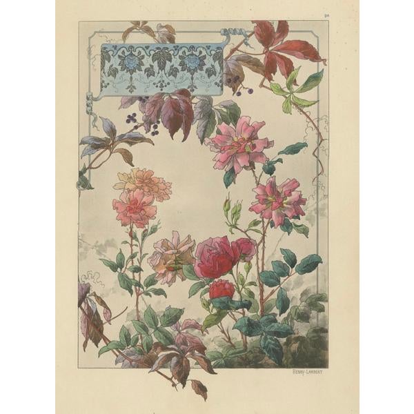 Lambert, Bengal Roses and Virginia Creeper in Art Nouveau Design, 1896, Print For Sale - Image 6 of 10