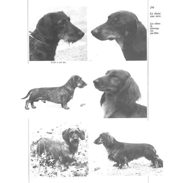 "Venerie Aujourdhui" 1975 Bouessee, Joel, Dormeuil, Ashley, and Tremblot De La Croix, H. For Sale - Image 4 of 10