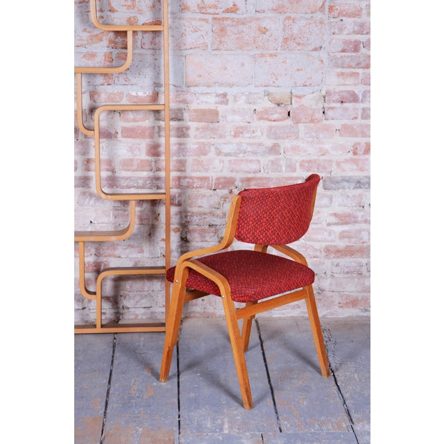 1960s Mid-Century Czech Chairs in Maple attributed to Ludvik Volak for Drevopodnik Holesov, 1960s, Set of 6 For Sale - Image 5 of 18