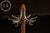 Mission Antique Oak Mission-Style Barbershop Coat Rack For Sale - Image 3 of 9