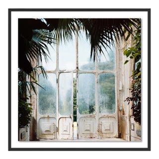 Greenhouse 2 by Annie Spratt, Art Print in Black Frame, Medium For Sale
