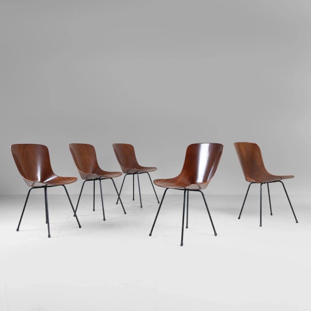 Medea Chairs by Vittorio Nobili, 1950s, Set of 5 For Sale - Image 11 of 11