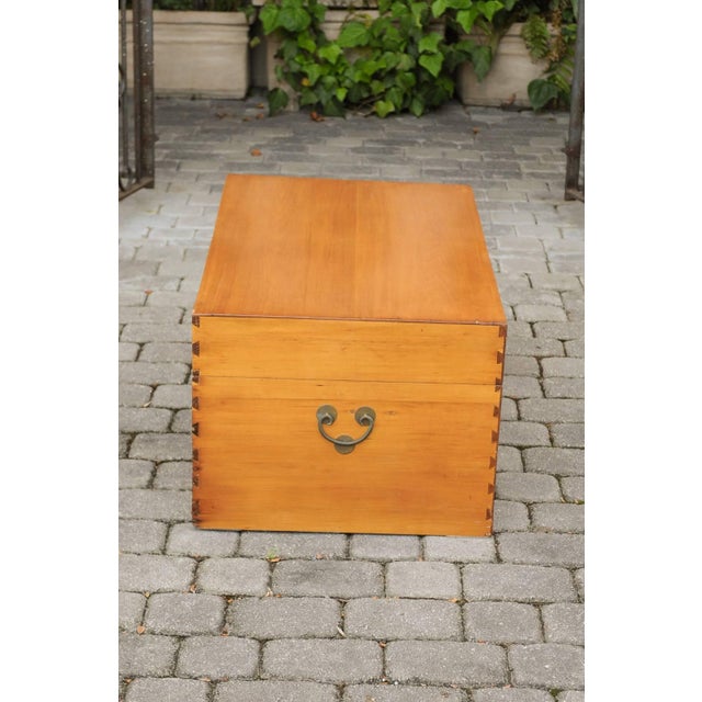 1920s Asian Camphor Wood Box with Traditional Lockset and Lateral Handles For Sale - Image 11 of 12