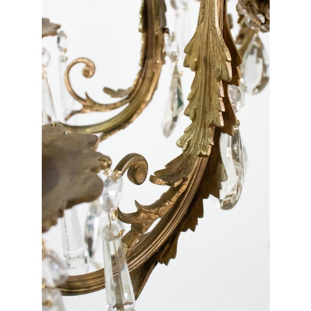 Early 20th Century French Rococo Revival Six Arm Gilt Bronze and Crystal Chandelier With Porcelain Plaques For Sale - Image 11 of 16