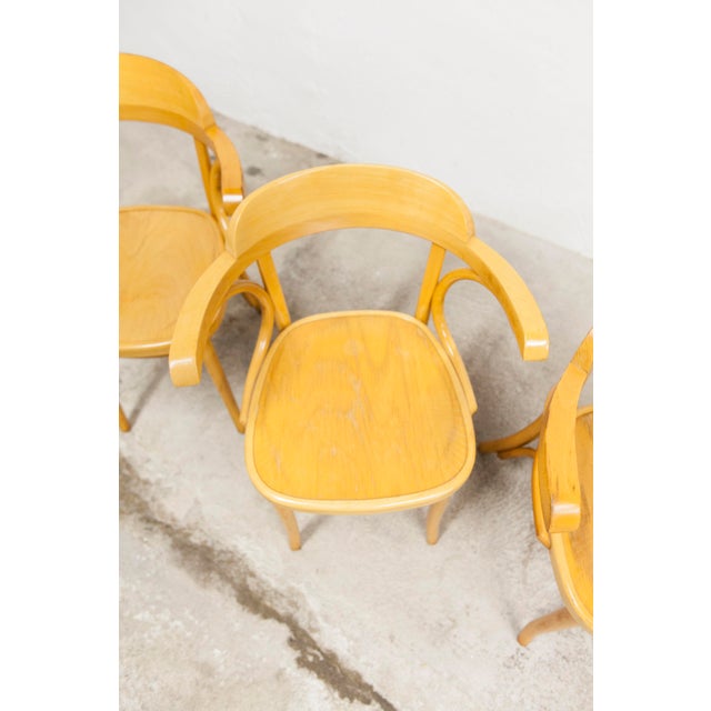 Vintage Bistro Armchairs, 1960s, Set of 4 For Sale - Image 11 of 18