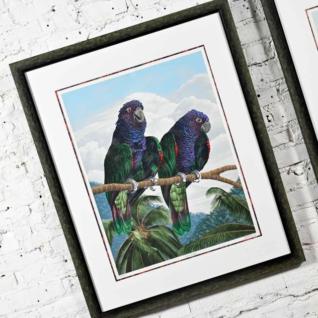 1980s Vintage Dallas John Limited Edition Hand Signed Imperial Mates & Military Macaws Fine Art Serigraph Parrots For Sale - Image 5 of 13