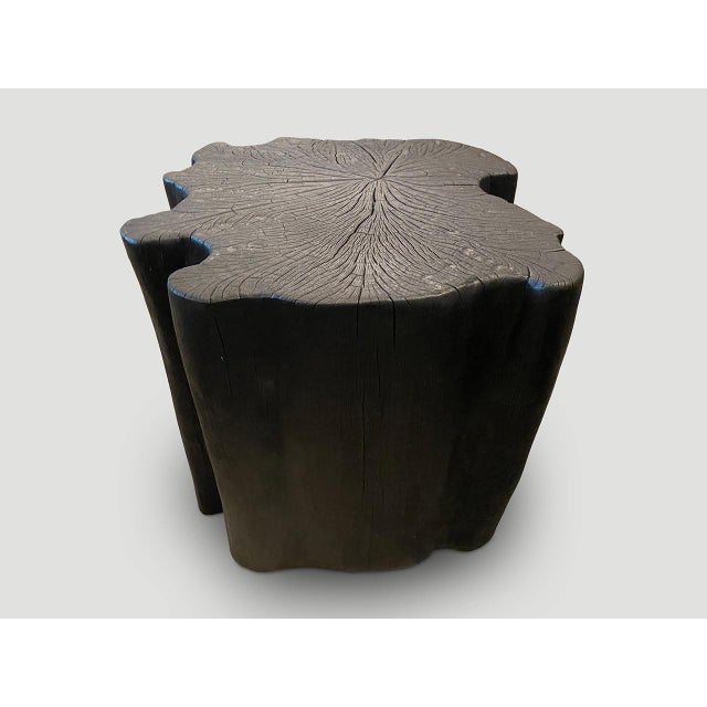 Wood Andrianna Shamaris Amorphous Charred Side Table For Sale - Image 7 of 18
