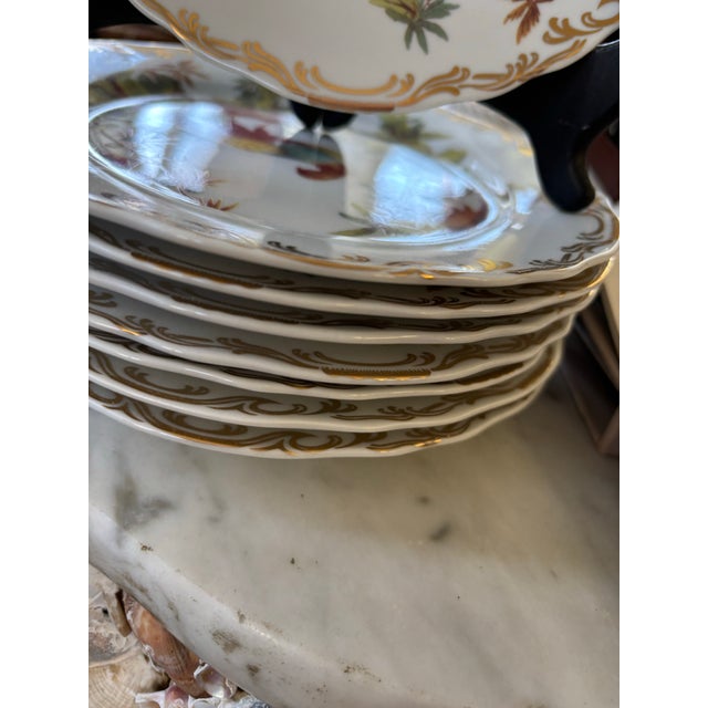 Chinese Vintage Rutherfords Bird Pattern Lunch Plates- Set of 8 For Sale - Image 3 of 5