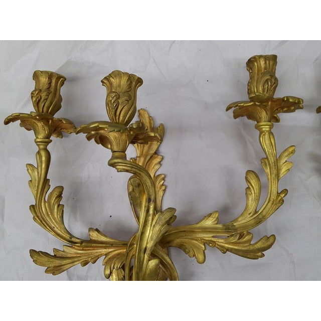 Metal Late 19th Century Pair of Rococo Style Gilt Bronze Three Arm Wall Candelabra Sconces For Sale - Image 7 of 7