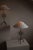 Vintage Brutalist Forged Iron Sunburst Table Lamp For Sale - Image 6 of 10