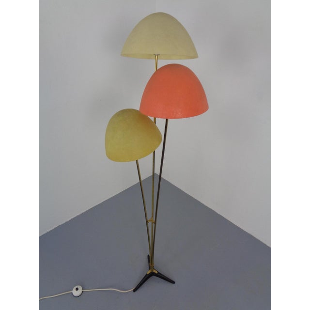 Italian Fiberglass & Brass Floor Lamp, 1950s For Sale - Image 6 of 18