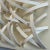 Contemporary Porcelain Wall Art by World Renowned Ceramic Artist, Paula Murray For Sale - Image 4 of 8