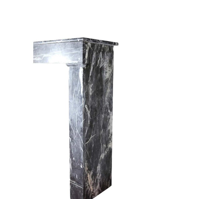 19th Century 19th Century Louis Philippe Grey Saint Anne Marble Antique Fireplace Mantel For Sale - Image 5 of 10