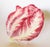 Italian Majolica Radicchio Trivet For Sale - Image 4 of 7