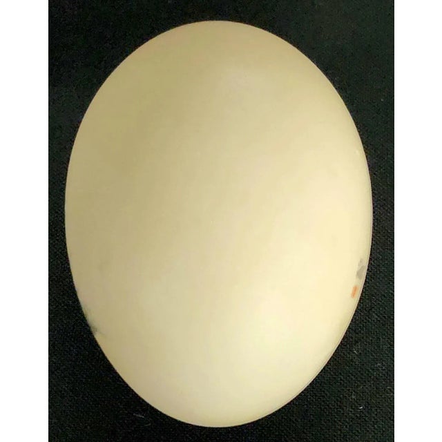 Eggshell Beautiful Chinese Vintage Hand-Painted Natural Egg For Sale - Image 8 of 11